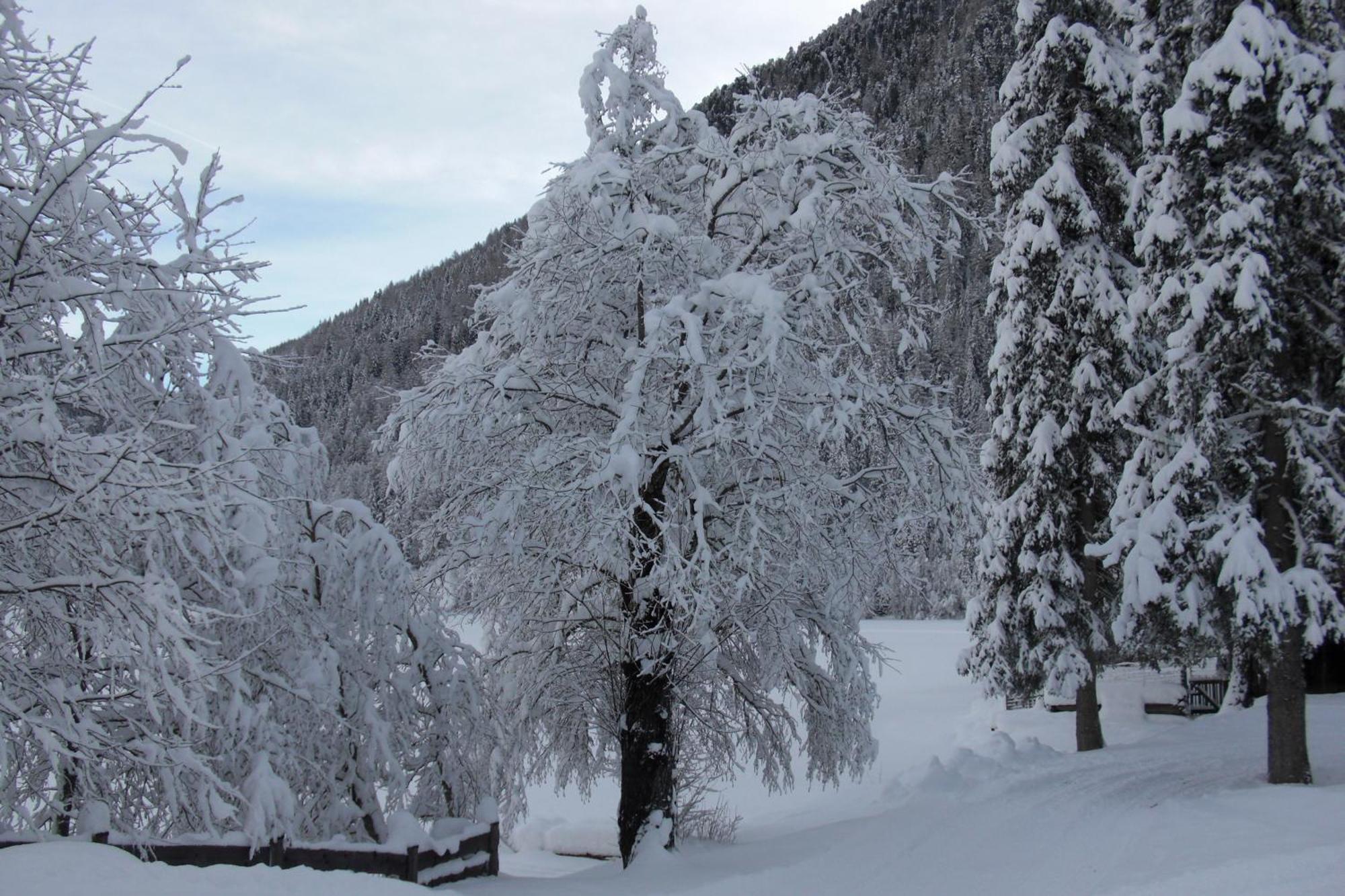 Hotel Seehaus - Only Adults - Mountain Lake Resort Anterselva di Mezzo Εξωτερικό φωτογραφία
